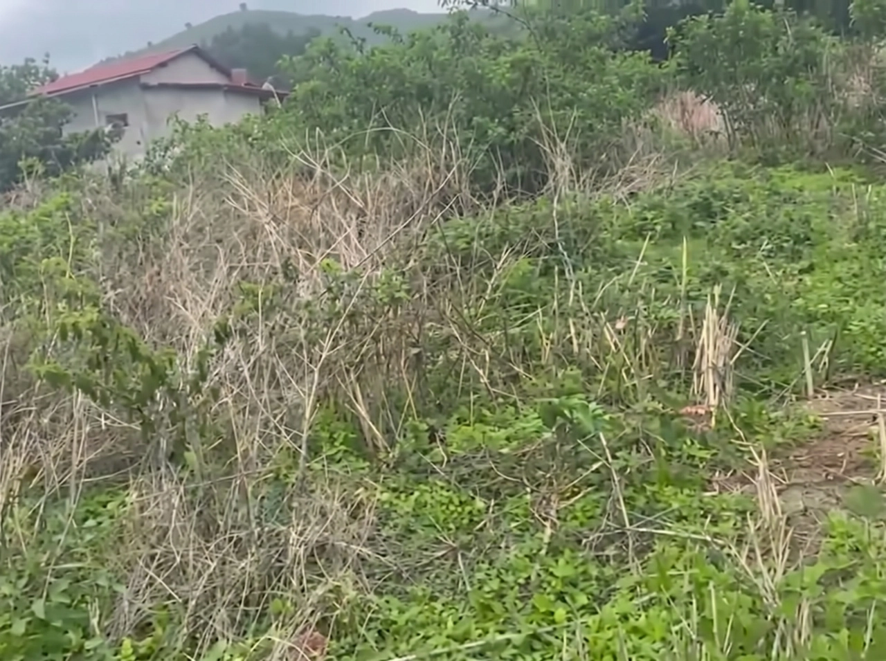 Ótimo lote à venda no bairro de Fátima