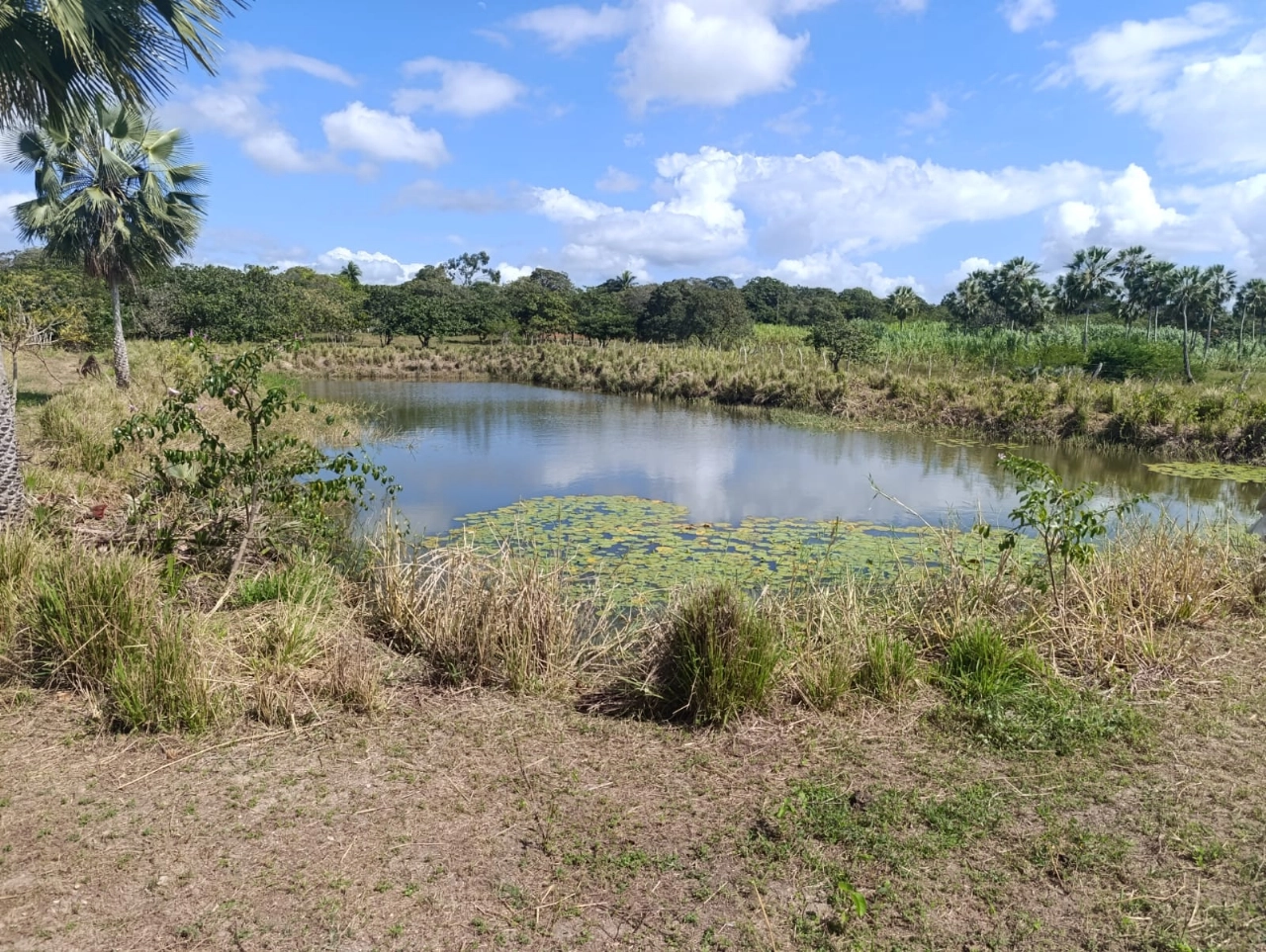 Sitio em Tururu no bairro Cemoaba por 182.000,00 reais - Imagem 14