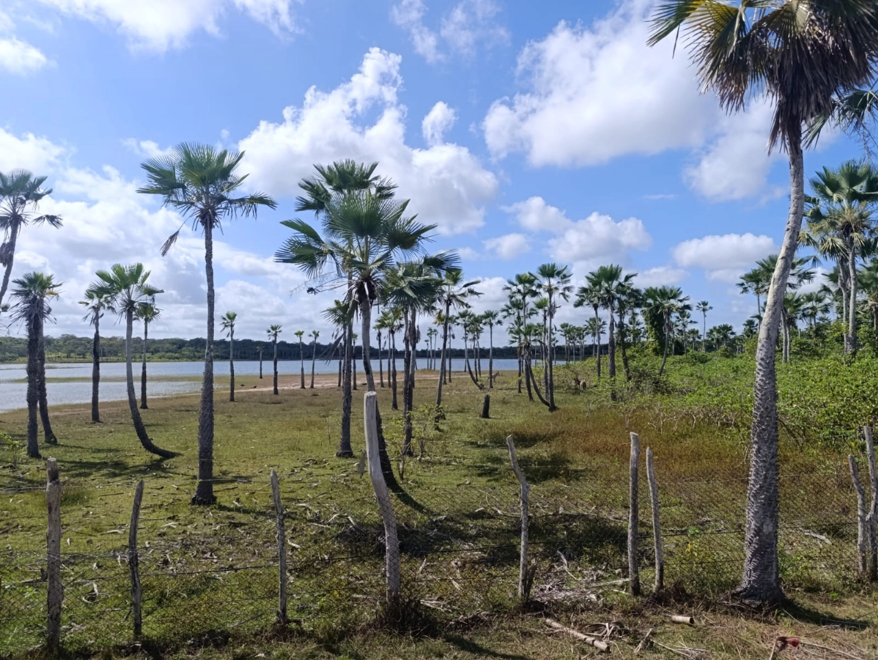 Sitio em Tururu no bairro Cemoaba por 182.000,00 reais - Imagem 23