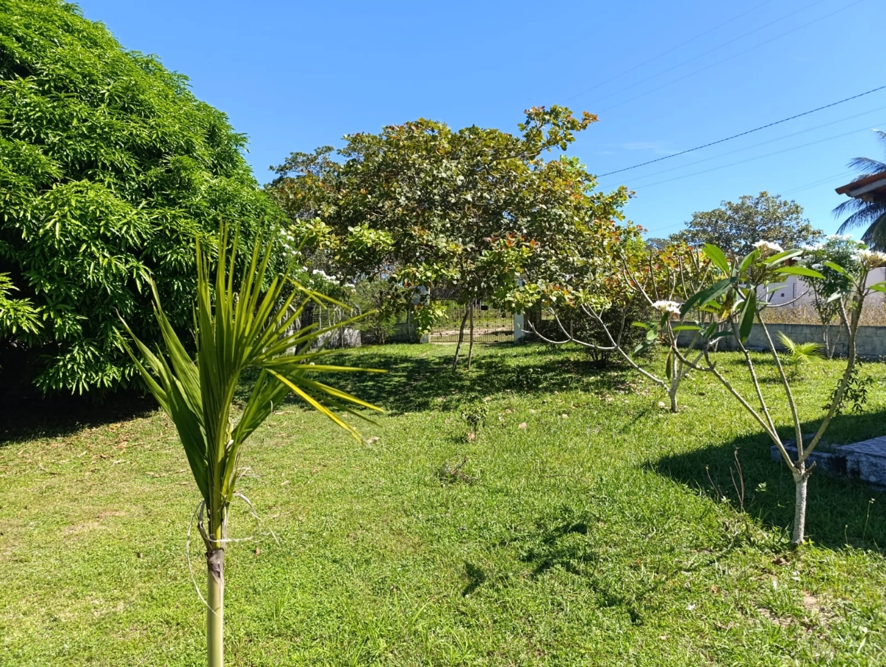 Sitio em Tururu no bairro Cemoaba por 182.000,00 reais - Imagem 17