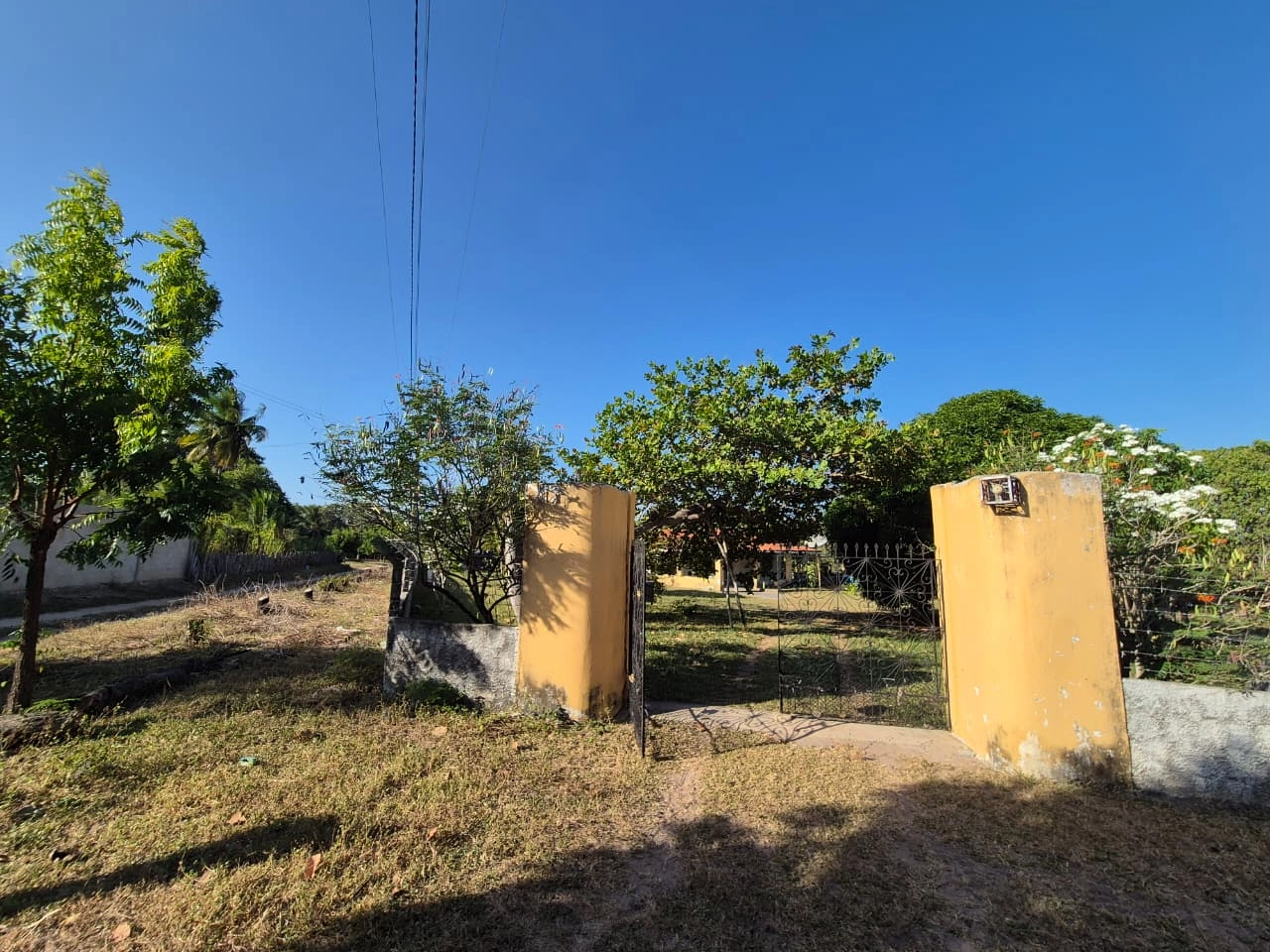 Excelente Sitio ha Venda na Cemoaba, Tururu-CE