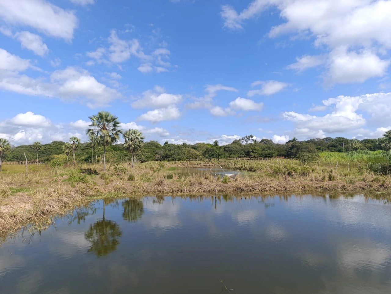 Sitio em Tururu no bairro Cemoaba por 182.000,00 reais - Imagem 22