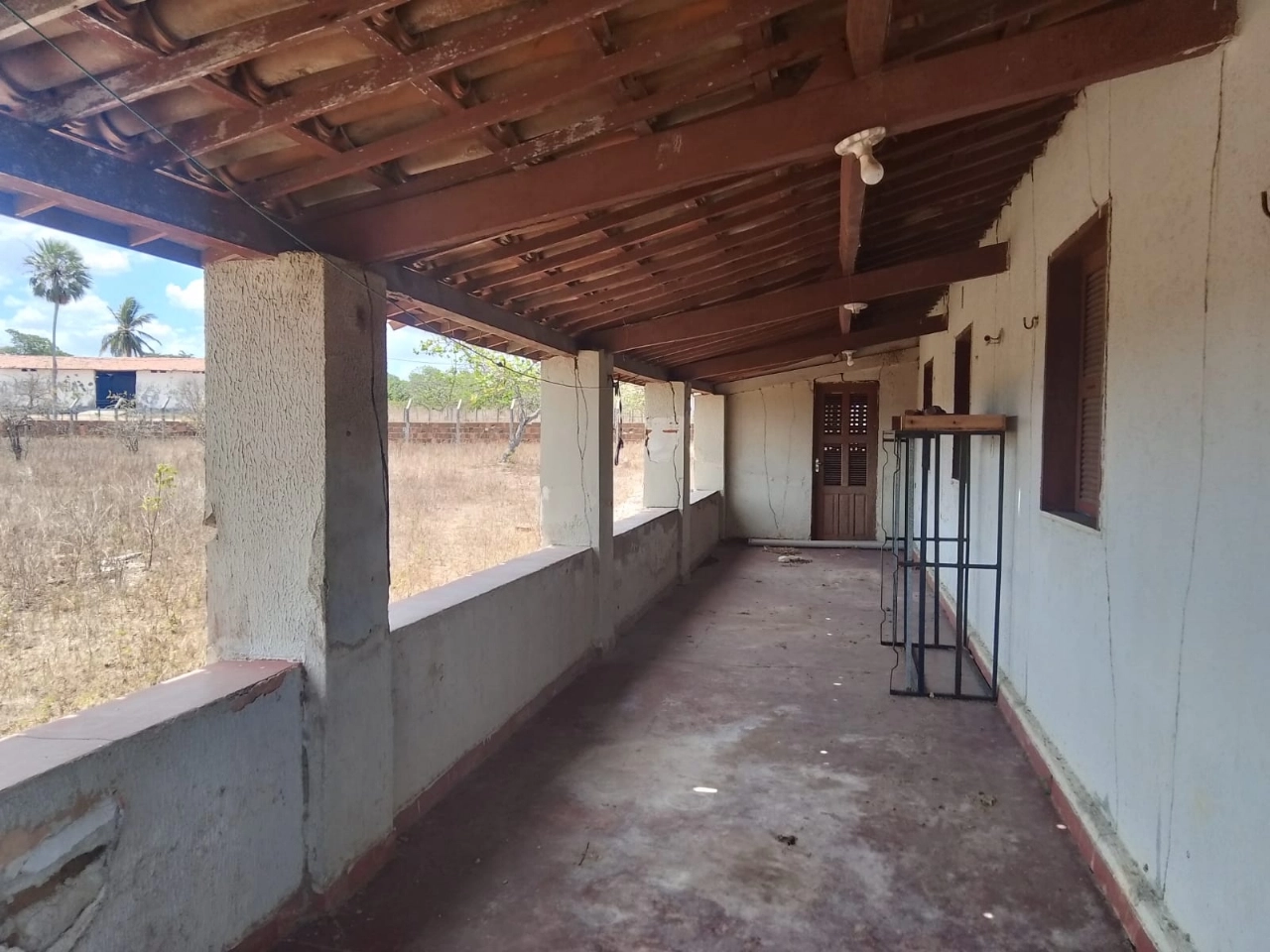 Sitio em Itapipoca no bairro trapiá por 1.400,00 reais - Imagem 9 Sitio em Itapipoca no bairro trapiá por 1.400,00 reais - Imagem 9