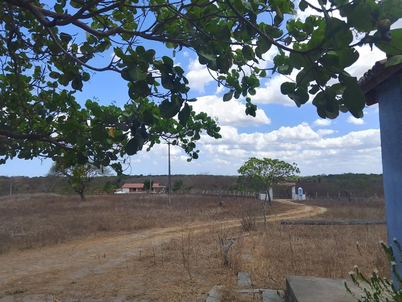 Sitio em Itapipoca no bairro trapiá por 1.400,00 reais - Imagem 4 Sitio em Itapipoca no bairro trapiá por 1.400,00 reais - Imagem 4