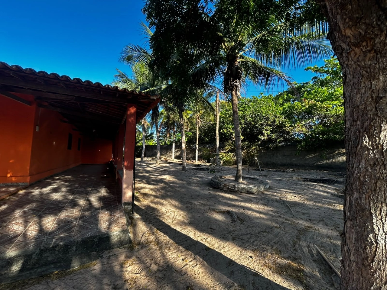 Sitio em Itapipoca no bairro Barrento por 350.000,00 reais - Imagem 8 Sitio em Itapipoca no bairro Barrento por 350.000,00 reais - Imagem 8