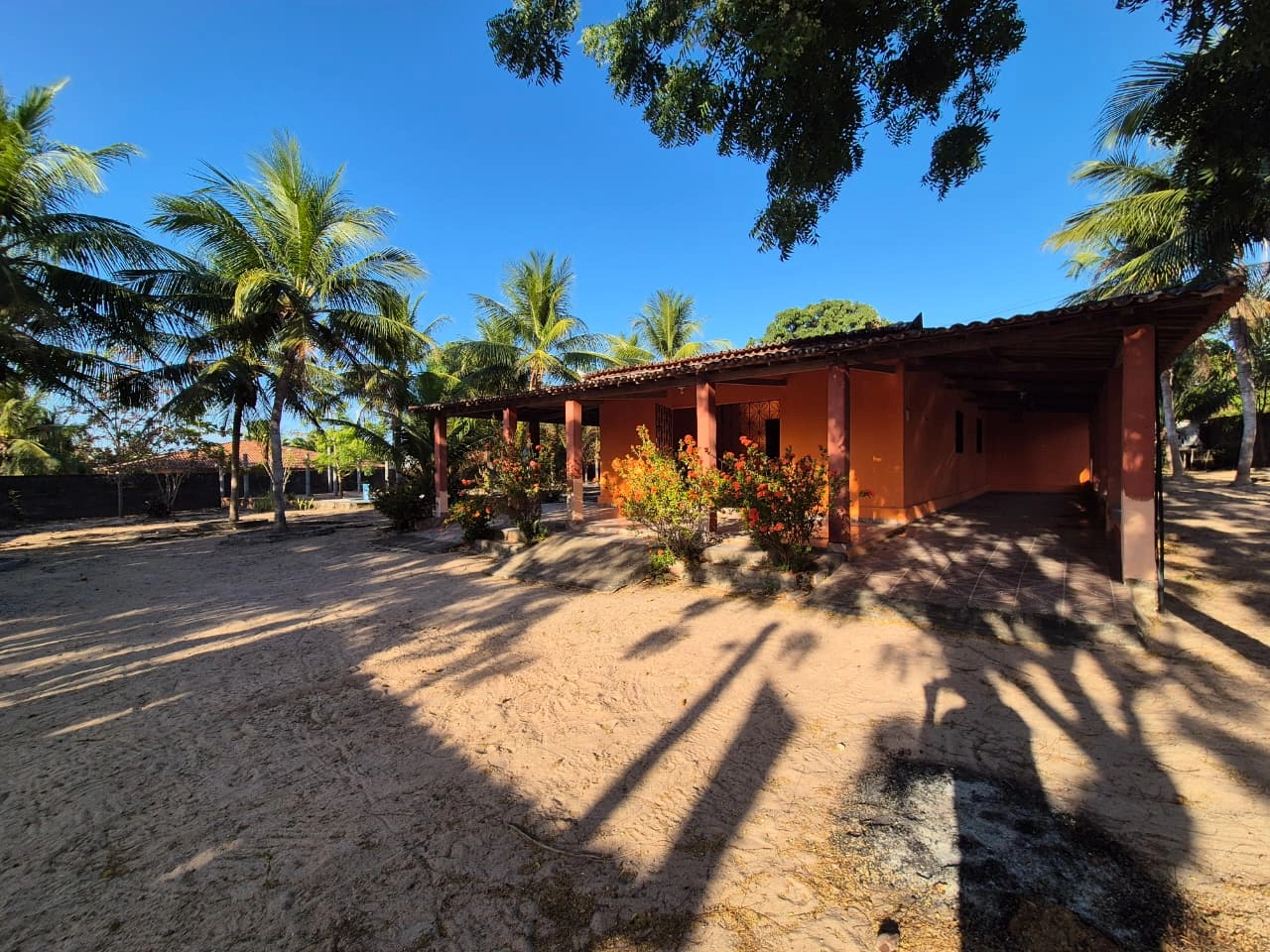 Sitio em Itapipoca no bairro Barrento por 350.000,00 reais - Imagem 21 Sitio em Itapipoca no bairro Barrento por 350.000,00 reais - Imagem 21