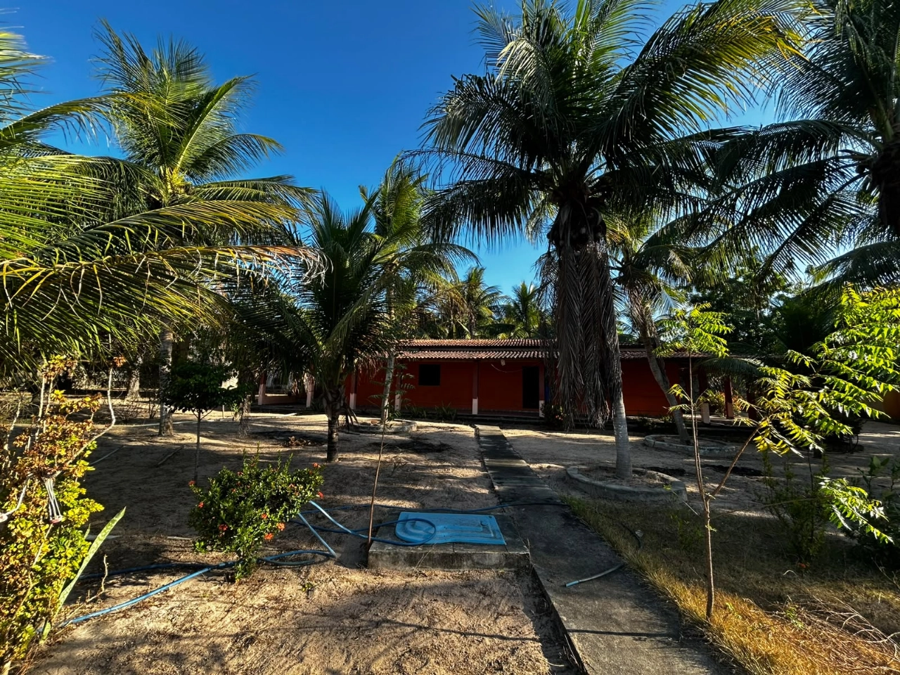 Sitio em Itapipoca no bairro Barrento por 350.000,00 reais - Imagem 4 Sitio em Itapipoca no bairro Barrento por 350.000,00 reais - Imagem 4