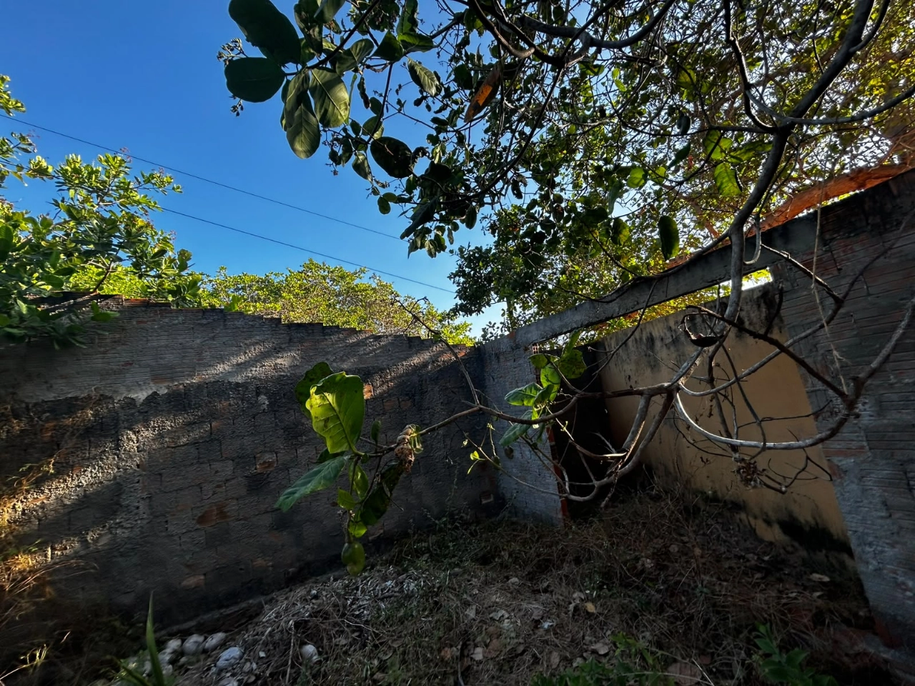 Sitio em Itapipoca no bairro Barrento por 350.000,00 reais - Imagem 10 Sitio em Itapipoca no bairro Barrento por 350.000,00 reais - Imagem 10