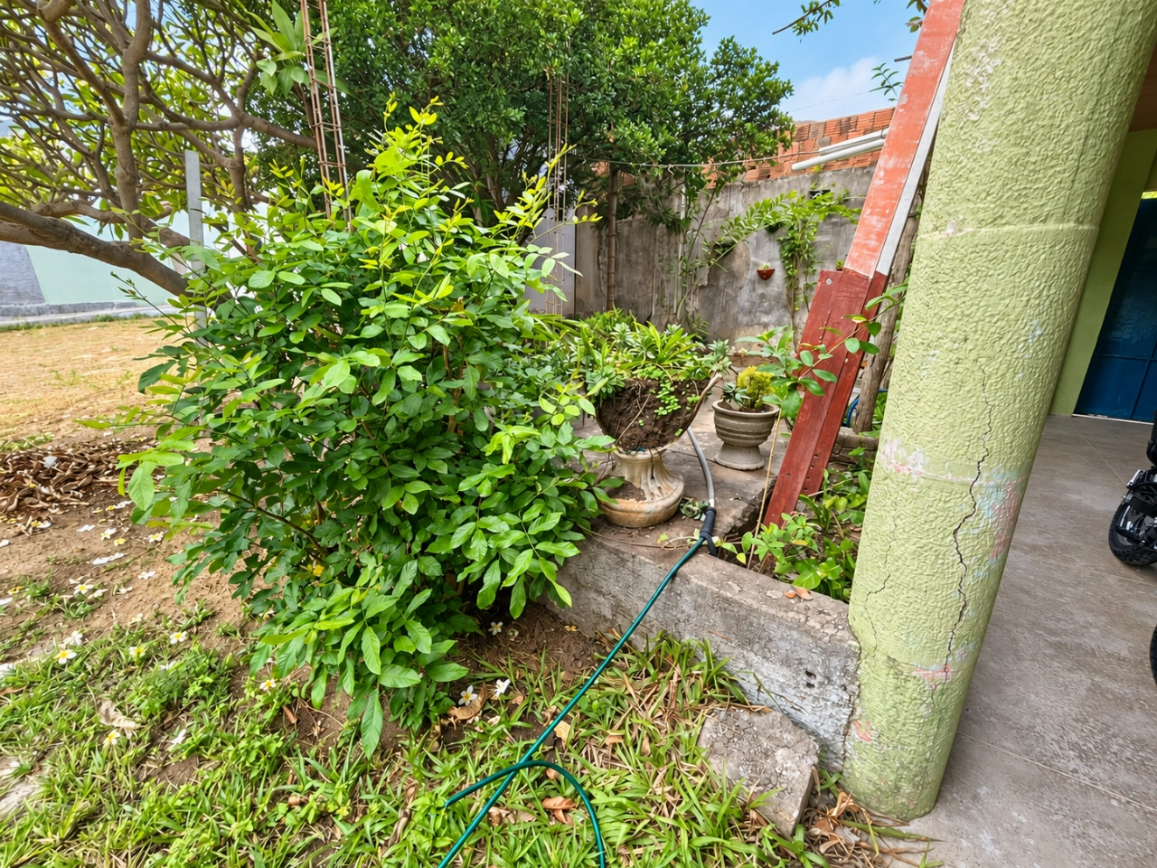 Ponto Comercial em Itapipoca no bairro Picos por 1.500.000,00 reais - Imagem 18